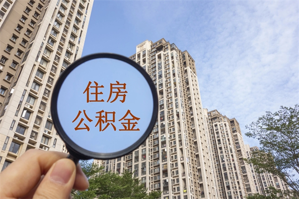 如东14年公积金多少钱（如东14年公积金利率是多少）
